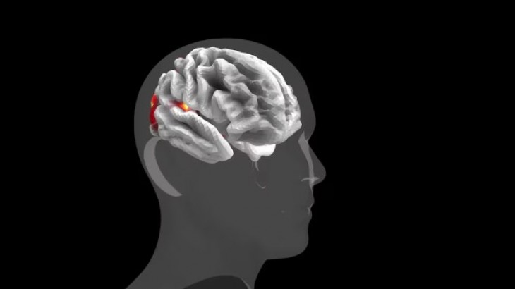 Meta construyó un modelo de IA que predice al cerebro humano