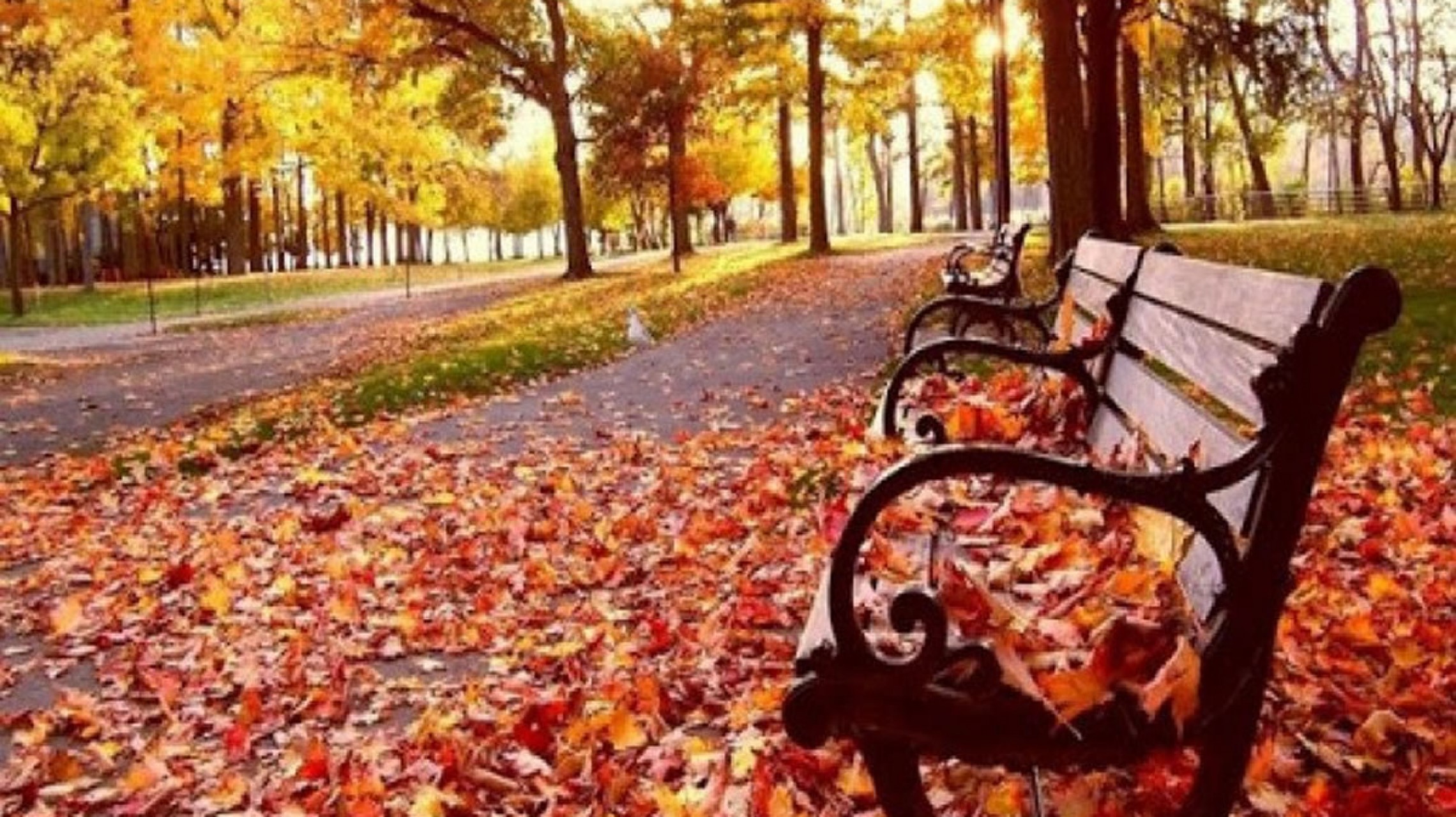 Descenso de temperatura y viento del sur para jueves y viernes en Mendoza