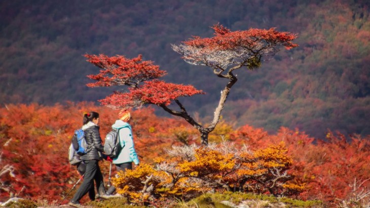 Viernes frío, con nubosidad y lluvias en Tierra del Fuego