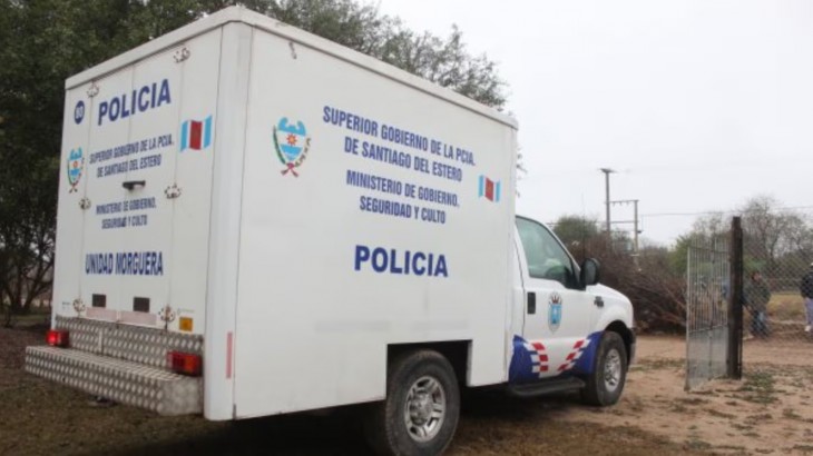 Un hombre de 91 años murió tras ser atacado por un enjambre de abejas